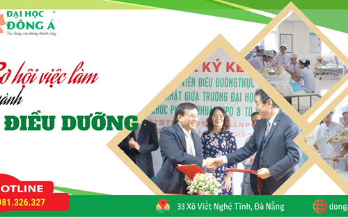 Cơ hội việc làm ngành Điều dưỡng tại Đại học Đông Á